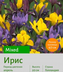  Ирис (Iris) Mixed